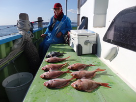 久里浜黒川本家 釣果