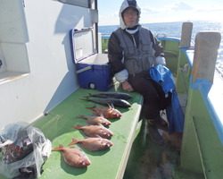 久里浜黒川本家 釣果