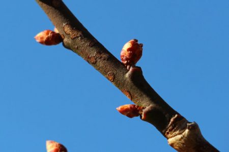 小菅トラウトガーデン 釣果