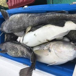 広進丸 釣果