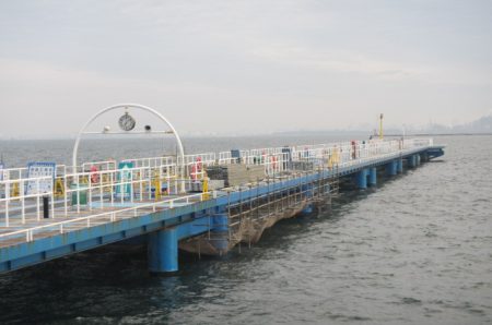 オリジナルメーカー海づり公園(市原市海づり施設) 釣果