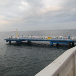 オリジナルメーカー海づり公園(市原市海づり施設) 釣果