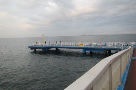 オリジナルメーカー海づり公園(市原市海づり施設) 釣果