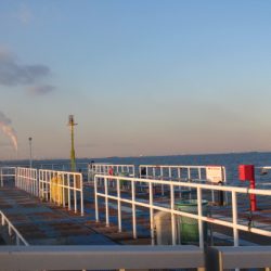 オリジナルメーカー海づり公園(市原市海づり施設) 釣果