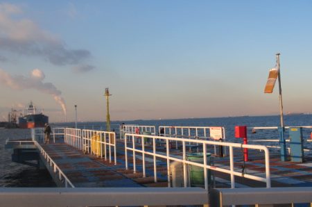 オリジナルメーカー海づり公園(市原市海づり施設) 釣果