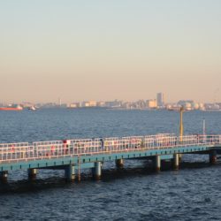 オリジナルメーカー海づり公園(市原市海づり施設) 釣果