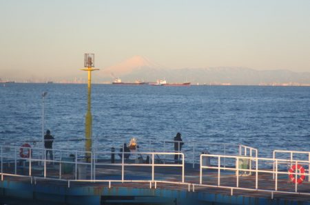 オリジナルメーカー海づり公園(市原市海づり施設) 釣果