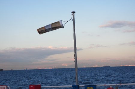 オリジナルメーカー海づり公園(市原市海づり施設) 釣果