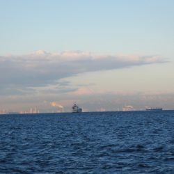 オリジナルメーカー海づり公園(市原市海づり施設) 釣果