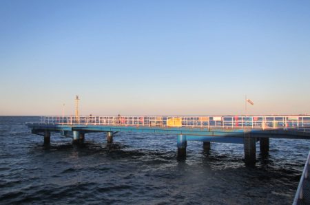 オリジナルメーカー海づり公園(市原市海づり施設) 釣果