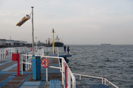 オリジナルメーカー海づり公園(市原市海づり施設) 釣果