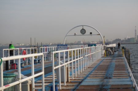 オリジナルメーカー海づり公園(市原市海づり施設) 釣果