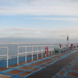 オリジナルメーカー海づり公園(市原市海づり施設) 釣果