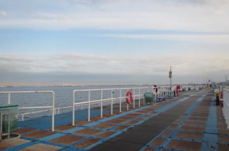 オリジナルメーカー海づり公園(市原市海づり施設) 釣果