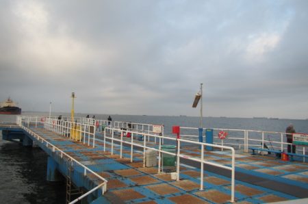 オリジナルメーカー海づり公園(市原市海づり施設) 釣果