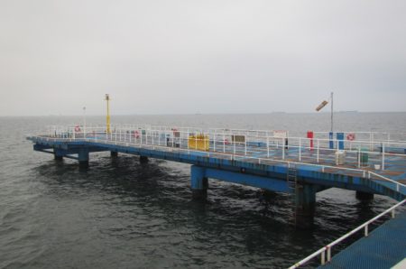 オリジナルメーカー海づり公園(市原市海づり施設) 釣果