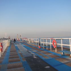 オリジナルメーカー海づり公園(市原市海づり施設) 釣果