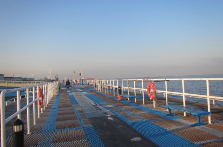 オリジナルメーカー海づり公園(市原市海づり施設) 釣果