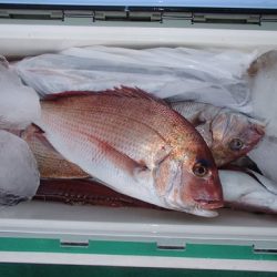 第二むつ漁丸 釣果