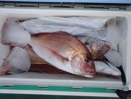 第二むつ漁丸 釣果