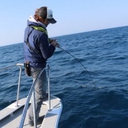 へいみつ丸 釣果