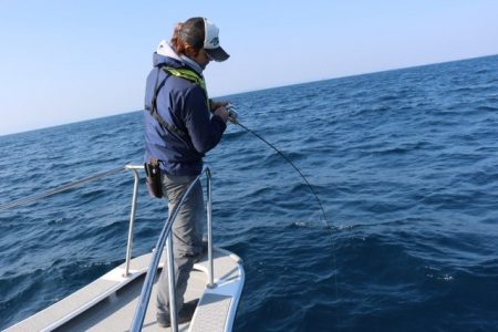 へいみつ丸 釣果