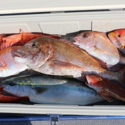 へいみつ丸 釣果