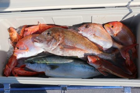 へいみつ丸 釣果