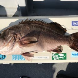 へいみつ丸 釣果