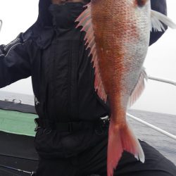 遊漁船 新鋭丸 釣果