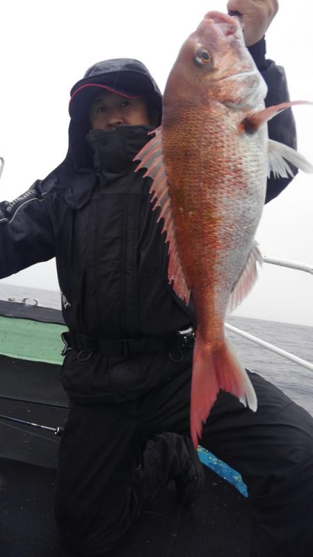 遊漁船 新鋭丸 釣果