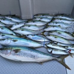 ミタチ丸 釣果