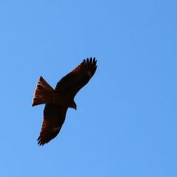 小菅トラウトガーデン 釣果