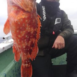 遊漁船 新鋭丸 釣果