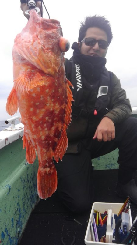 遊漁船 新鋭丸 釣果