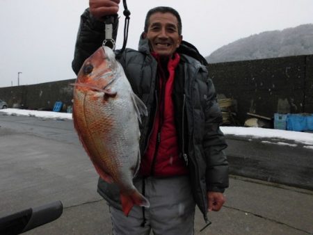 大進丸(新潟) 釣果