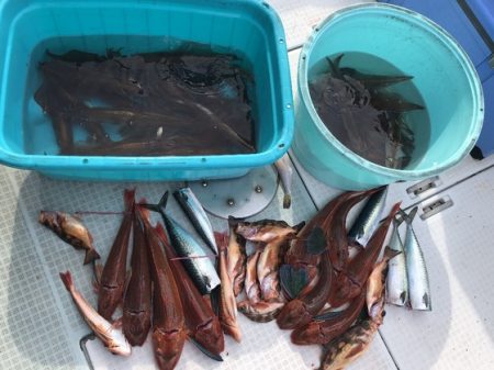 ふじしめ丸 釣果