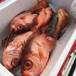 寿裕 （YOSHIHIRO） 釣果