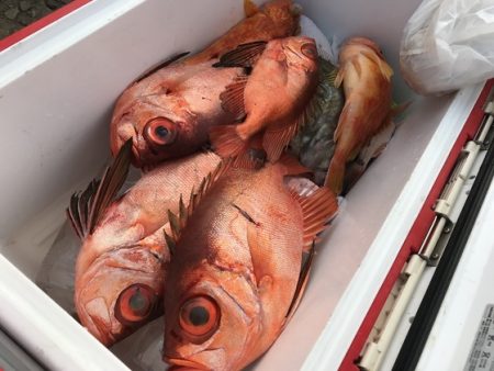 寿裕 （YOSHIHIRO） 釣果