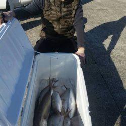 第五慶門丸 釣果