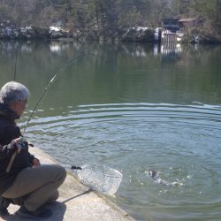 フィッシングレイクたかみや 釣果