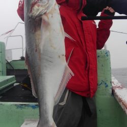 遊漁船 新鋭丸 釣果