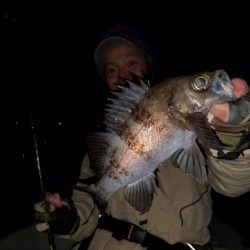 Magic（マジック） 釣果