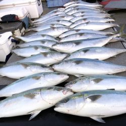 幸風（さちかぜ） 釣果