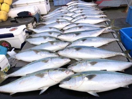 幸風（さちかぜ） 釣果