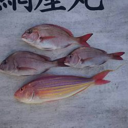 網屋丸 釣果