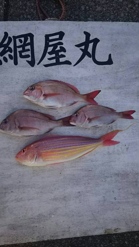 網屋丸 釣果