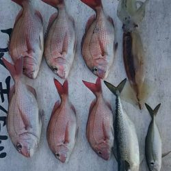 網屋丸 釣果