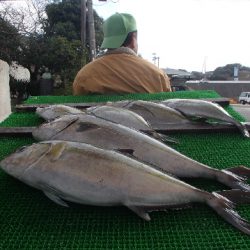 カタタのつり堀 釣果