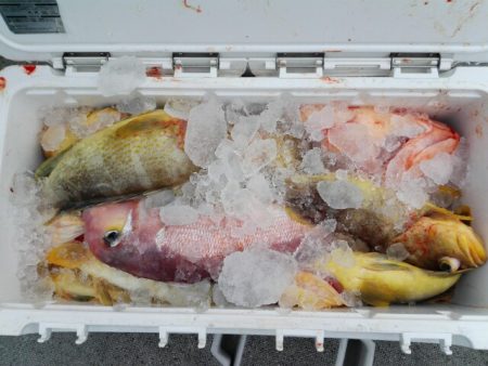 第二大福丸 釣果